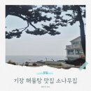 소나무집 | 해물탕 맛집 기장 소나무집 솔직 후기