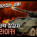 장갑차 화력 끝판왕 "스트라이커" / 전차를 때려잡는 괴물! [지식스토리] 이미지