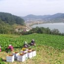 여수농장 이미지