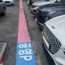 "파란색은 공영, 빨간색은 민영" 경포 해안상가 '주차 민원' 해소되나﻿ 이미지