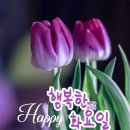 화요일 이미지