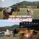 문가스테이 | 양평독채펜션 파르비스테이5 마당있는 애견동반펜션 대형견가능