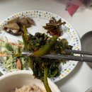 사나물농장 | 광양 취나물을 부산에서 집에앉아 배송시켜 먹었더니!(서기네농산물)