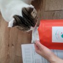 마미나은 이미지