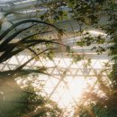 서울식물원 이미지