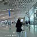 발리키키 | 대한항공 프레스티지석 발리 직항 비즈니스 기내식 후기