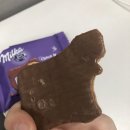 이건사자 이미지