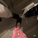 죠스이편한 이미지