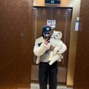 뽀숑뽀숑 | 주촌애견미용 뽀숑뽀숑 애견샵 추천후기