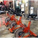 피트니스디 헬스 P.T 이미지