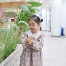 키즈브라운 어린이집 | 어린이집 등원룩 여아원피스 여아 봄 원피스 슈나 추천 후기