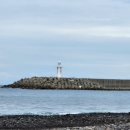 제미니국수 이미지