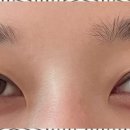 빛다브로우 이미지