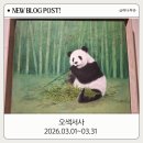 미래타워 | 삼정타워 Q라운지 전시 오색서사 후기