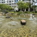 향동두리이비인후과의원 이미지