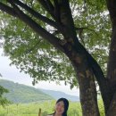 산골산장 이미지