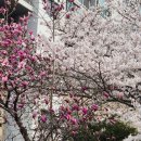 의료법인 한빛의료재단 행복한노인요양병원 | [일산 요양병원 프로그램] 햇살 가득한 창가에서 피어나는 어르신의 웃음꽃