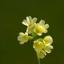 은혜요양병원 | 쾌적하고 편안하 일산 동구 요양원 마두은혜노인요양시설 편안한 요양 공간