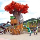 내장산문화광장 이미지