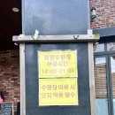 제주도 동쪽 깨끗한 숙소 달마루 스파&amp;풀빌라 펜션 이용후기