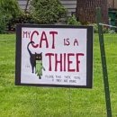 내 고양이는 도둑입니다.jpg 이미지