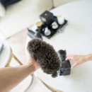 블루퍼피 이미지