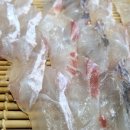 탑립농장 네이버블로그