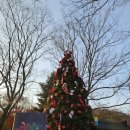 민속촌로 | 용인 한국민속촌 킹받는 크리스마스 | 14개월 아기와 방문 후기