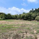 금영농장 이미지