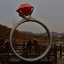 호수정원 이미지