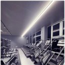 아레나휘트니스 이미지