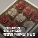 하연당 카네이션 꽃 강정 내돈내산 후기 | 부모님 프로필 사진까지 바꾼 감성선물🌸