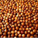 두타산농업회사법인 이미지