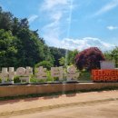 우리산약초 | [진안]산약초타운_전북 진안 가볼만한곳