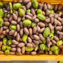 고흥 농장 이미지