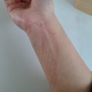 이쁘개멋지개 이미지