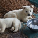 지만농장 이미지