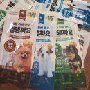 보령 컨슈머 헬스케어의 강아지 영양간식 &#39;댕댕짜요&#39; 리뷰 - 강아지영양제같은 간식인 하루영양간식