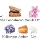 바닐라짐 이미지