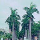 성모당(聖母堂) | [다시또대만#4] 가오슝2일차/센트럴파크/아이허강/장미성모당/향원우육면/보얼예술특구