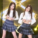 스텔라