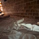 노블레스 스파24시 이미지