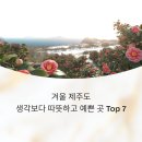 글라스TOP | 겨울 제주도, 생각보다 따뜻하고 예쁜 곳 추천 Top 7