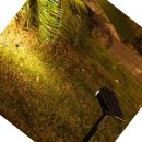 쇼핑나라 이미지