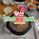 건양정홍삼삼계탕서면점 | [부산] 건양정 홍삼 삼계탕 서면점 내돈내산 솔직 후기