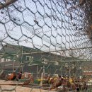 김영이농장 이미지