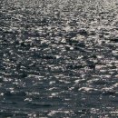 (주)파인 이미지