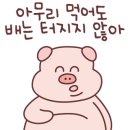 센다이코코로 이미지