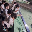 가을소풍~ 대전 아쿠아리움 1 이미지