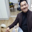 [세상에 나쁜 개는 없다] 애견훈련소 갔다가 얼굴을 잃어버린 마루 (감동이쟈나ㅠㅠ) 이미지